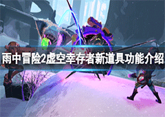 雨中冒险2虚空幸存者道具图鉴大全