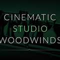 Cinematic Studio Woodwinds
