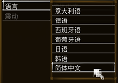 盐与献祭怎么调中文 设置方法分享