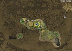 V Rising城堡建在哪里 全方面详细选址攻略 