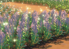 沙石镇时光欧文有什么特点 详细详细介绍