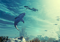 食人鲨有什么小技巧 详细攻略介绍