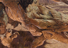 怪物猎人崛起新手太刀怎么选 开荒装备推荐