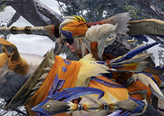 怪物猎人崛起曙光福木兔在哪里 位置分享一览