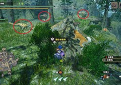 怪物猎人崛起曙光城塞高地随从探险队在哪 具体位置介绍