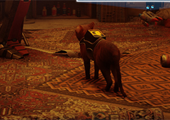 迷失中城区密码箱怎么解 密码箱开启方法介绍