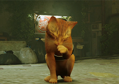 迷失stray中城区帽子在哪里 详细位置介绍