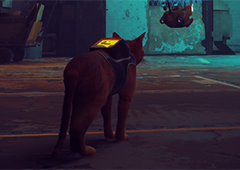 迷失stray毯子在哪里 道具位置一览