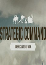 战略司令部：美国内战