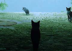 迷失stray快如闪电成就怎么做 详细方法介绍