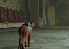 迷失stray喵的地盘成就怎么做 完成方法分享