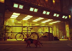 迷失猫最好的朋友成就怎么做 详细方法介绍