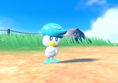 宝可梦朱紫润水鸭怎么样 精灵特点介绍