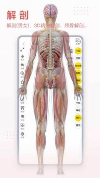 3Dbody解剖截图3