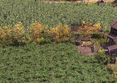 最远的边陲前期建家位置怎么选 初期选址攻略