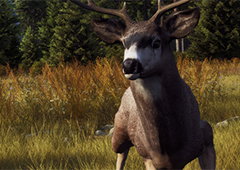 狩猎之道怎么捕获驼鹿 捕捉技巧分享