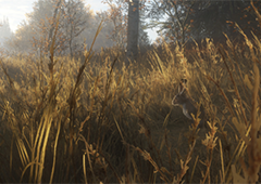 猎人荒野的召唤穴狮头骨在哪 材料采集地点