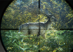 猎人荒野的召唤霰弹枪怎么用 使用技巧分享