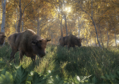 猎人荒野的召唤陷阱专家成就怎么做 完成方法分享