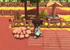 Dinkum相机怎么获得 物品获取方式