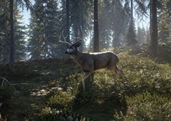 猎人荒野的召唤如何接近猎物 接近方法介绍