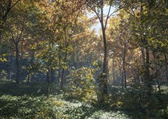 猎人荒野的召唤技能加点怎么加