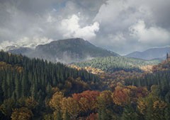 猎人荒野的召唤找不到尸体怎么办