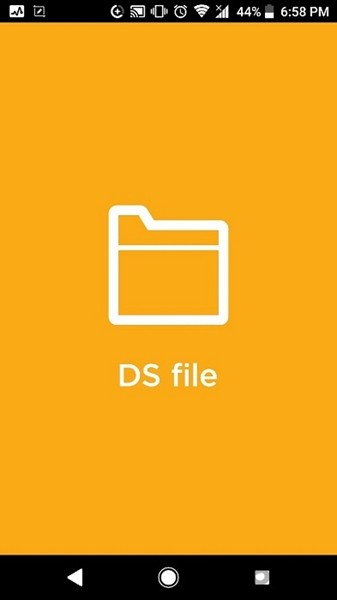 DS file2