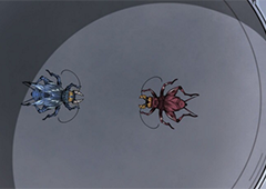 太吾绘卷怎么杀异人 异人击杀攻略