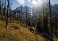 狩猎之道任务收获飞翔的鸭子怎么过