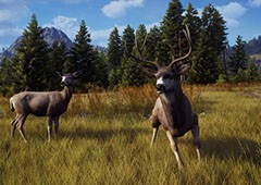 狩猎之道五星马鹿怎么捕猎 马鹿捕猎方法介绍