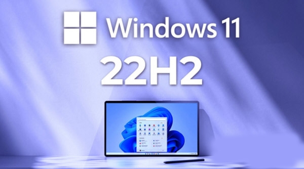 Windows1122H21