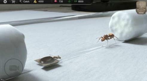 蚂蚁模拟大亨图片1