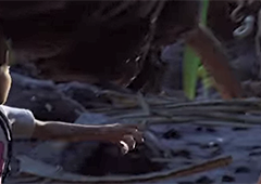 Grounded骨质匕首怎么获得 骨质匕首获取攻略