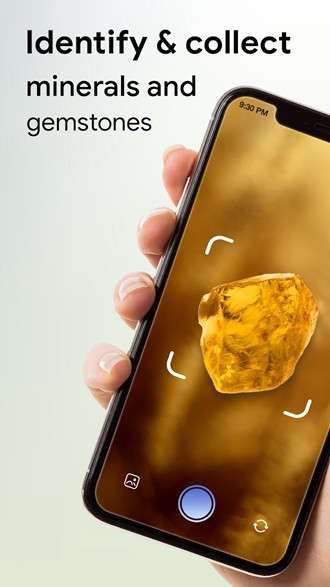Rock Identifier(岩石识别app)1