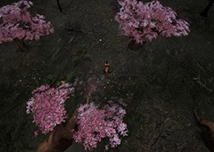 镇邪青烟剑怎么获得 武器获得方法介绍