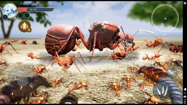 蚂蚁生存日记截图1