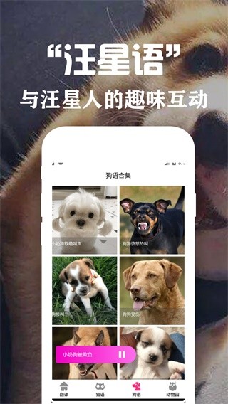 狗语翻译交流器免费版3