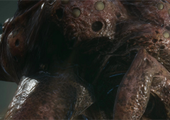 恶月十三新手开图技能怎么搭配 开荒技能搭配攻略