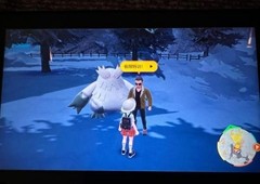 宝可梦朱紫王冠怎么用 王冠使用地点介绍