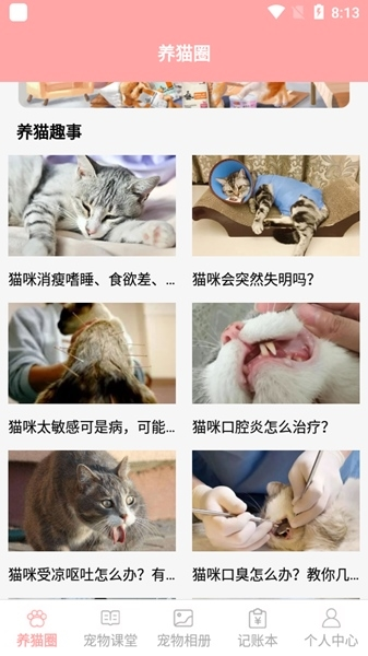 遇见我的猫图片2