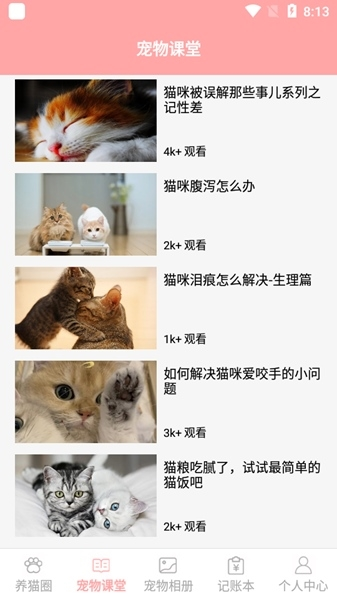 遇见我的猫图片3