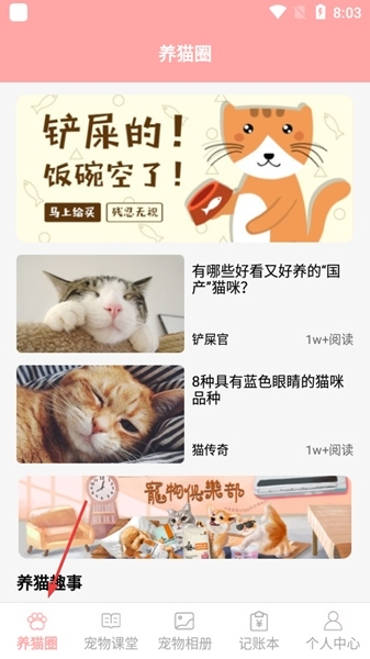 遇见我的猫图片4