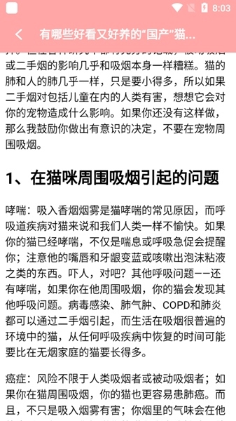 遇见我的猫图片5
