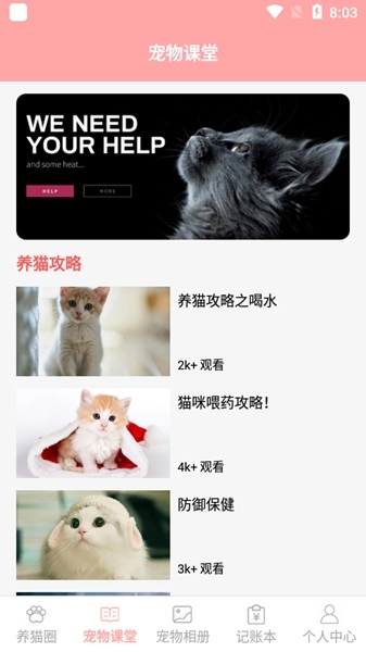 遇见我的猫图片6
