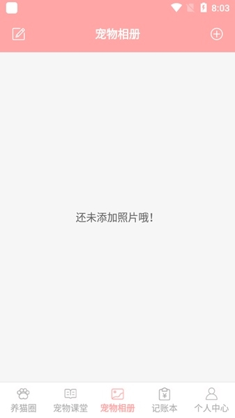 遇见我的猫图片8