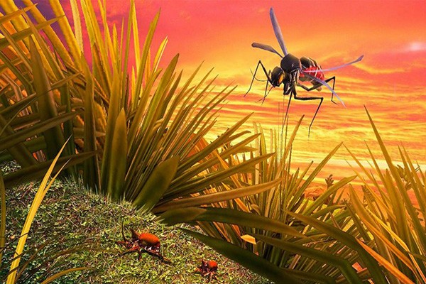 蚊子模拟器3D1