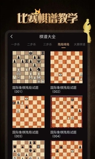 棋院国际象棋4