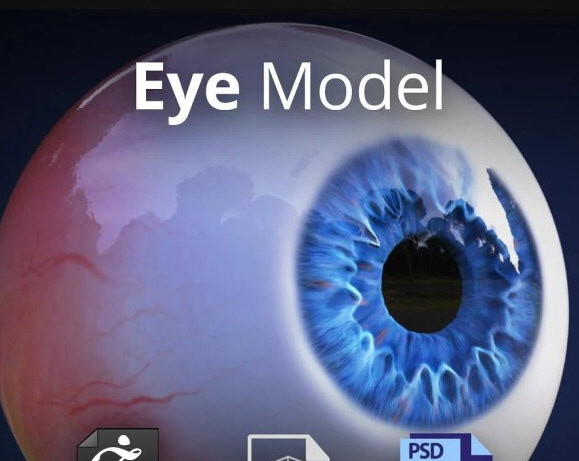3D Eye Model