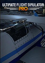 终极飞行模拟器Pro